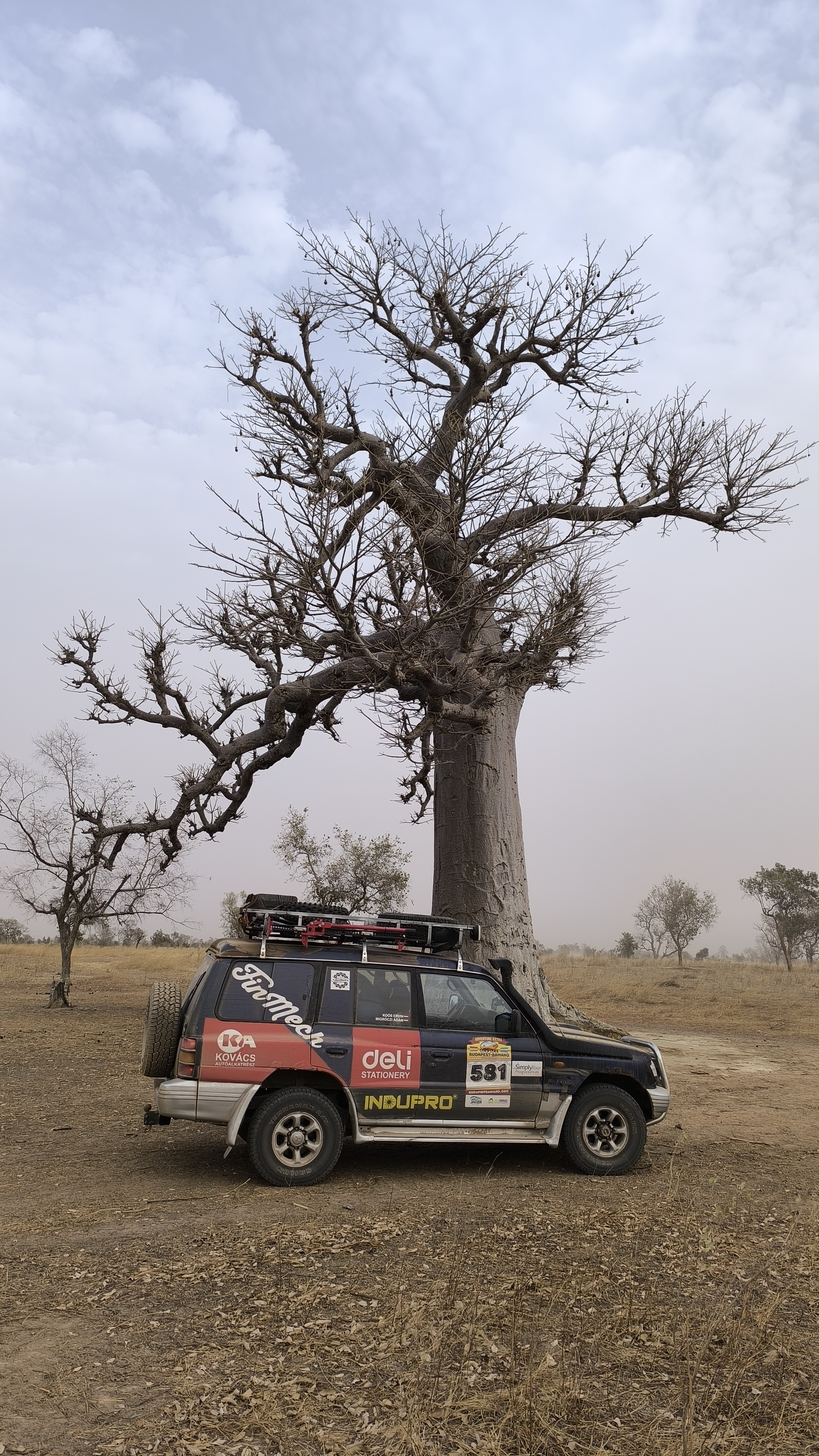 Pihenő egy baobab alatt